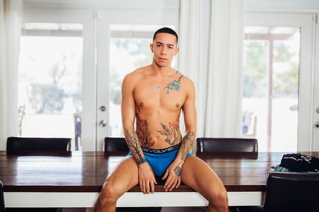 American stars superstud Sean Zevran and hunk Vincent Oreilly love each other