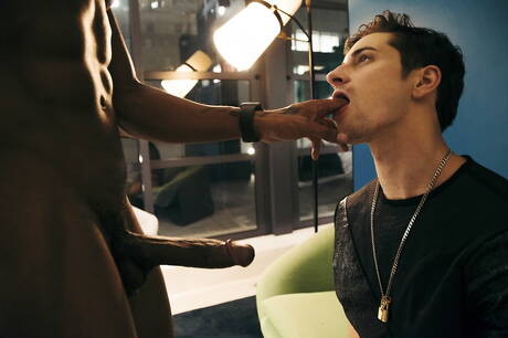 Die hübschen amerikanischen Jungs Jacen Zhu und Taylor Reign, beide muskulös, ficken sich in den Arsch, nachdem sie im Freien interracial geblasen haben