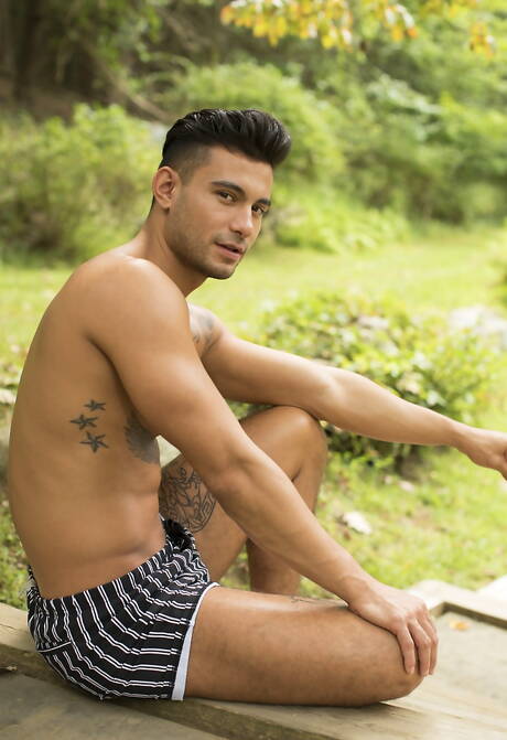 Zwei amerikanische Typen, der starke Mann Ricky Roman und der Superhengst Taylor Reign, ficken sich nach einem Blowjob am Pool in den Arsch