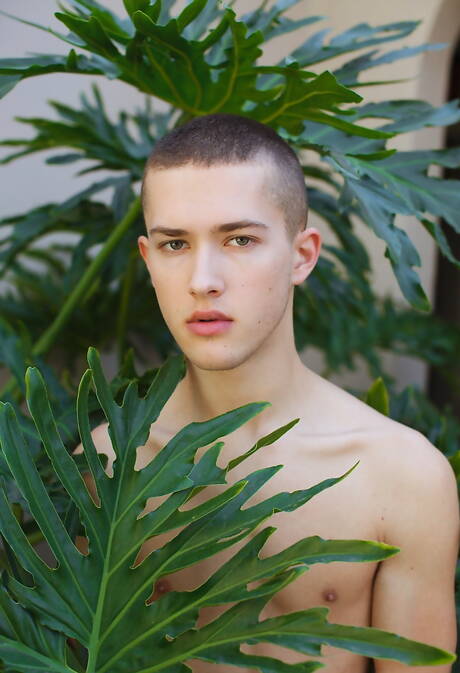 Cocky Boys: Pretty american boys pretty boy Sean Ford and superstud Taylor Reign have a good sex outside