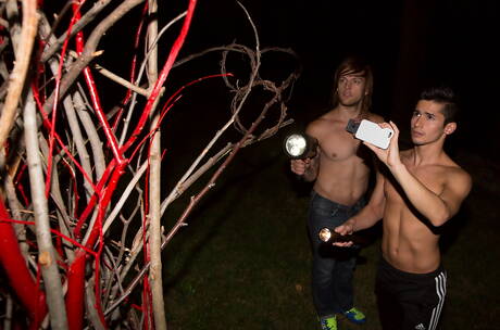 Levi, Liam, Michael Milano, Ricky y Tayte Hanson en una orgía masculina al aire libre