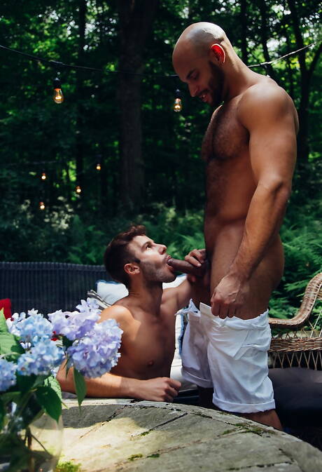 Spaanse gespierde Allen King en Amerikaanse husky-man Sean Zevran zijn dol op elkaar buiten