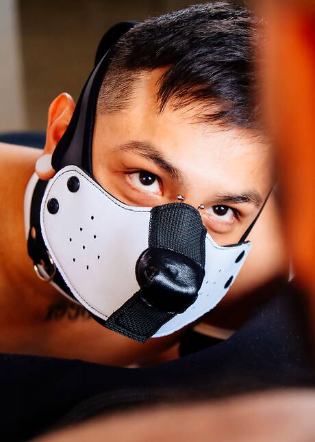 Pretty american boys muscular Brock Banks and young Mateo Vice banged each other