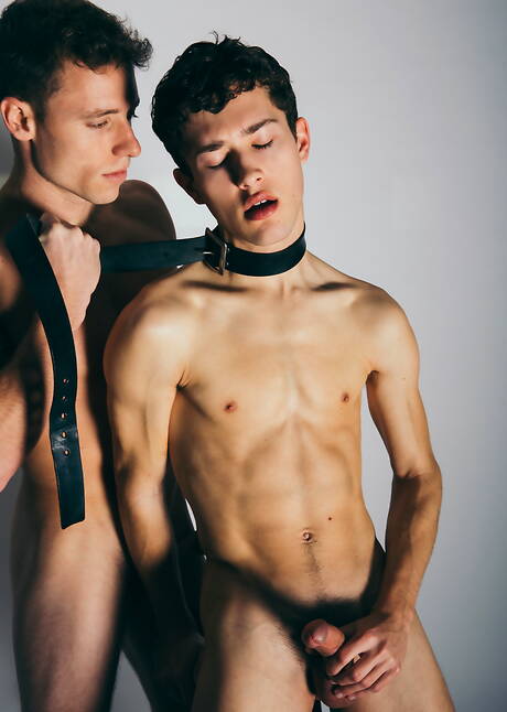 Due ragazzi americani, il bel ragazzo Justin Matthews e il bellissimo ragazzo Sean Ford, in una bollente azione di sesso anale