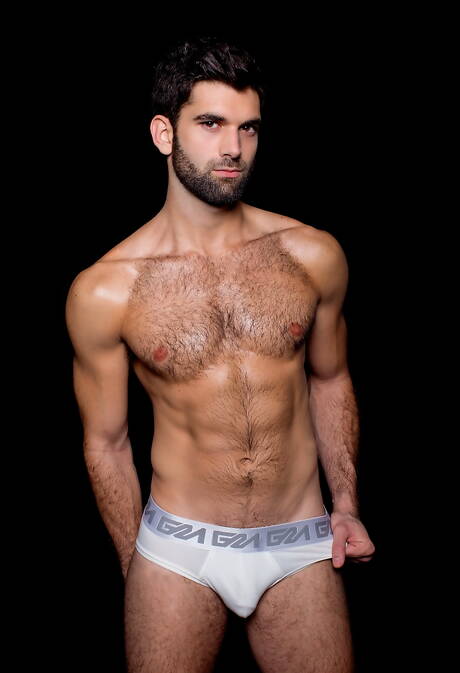 American stars beefcake Boomer Banks and hairy stud Tegan Zayne fuck ass after blowjob at pool