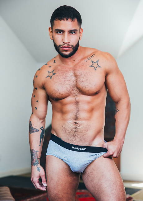 Cocky Boys: Hot american dudes bodybuilder Brock Banks and hairy stud Ty Mitchell in hot anal sex