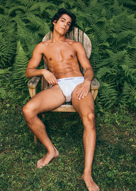 Famous americans, beefcake Blake Mitchell and well-built Nico Leon have anal sex outside