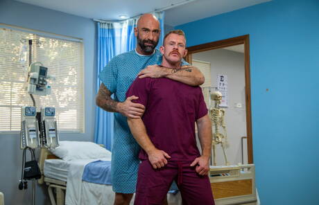 Słynni Amerykanie, dojrzały miś Drew Sebastian i kudłaty ogier Jack Vidra w gorącym tyłku