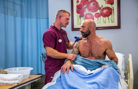 Słynni Amerykanie, dojrzały miś Drew Sebastian i kudłaty ogier Jack Vidra w gorącym tyłku