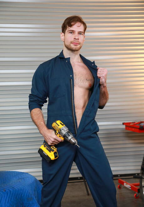 Les beaux garçons américains David Skylar et l