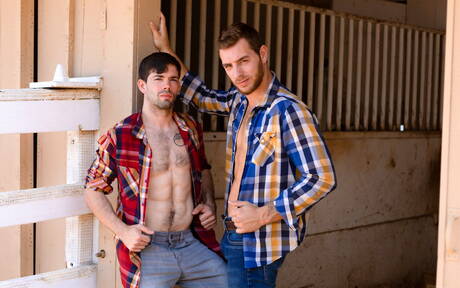 Zwei amerikanische Typen, der attraktive Carter Woods und der Otter Julian Brady, in heißer homosexueller Action