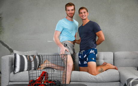 Heiße amerikanische Jungs, der junge Dacotah Red und der muskulöse Brandon Anderson lutschen und vögeln sich gegenseitig