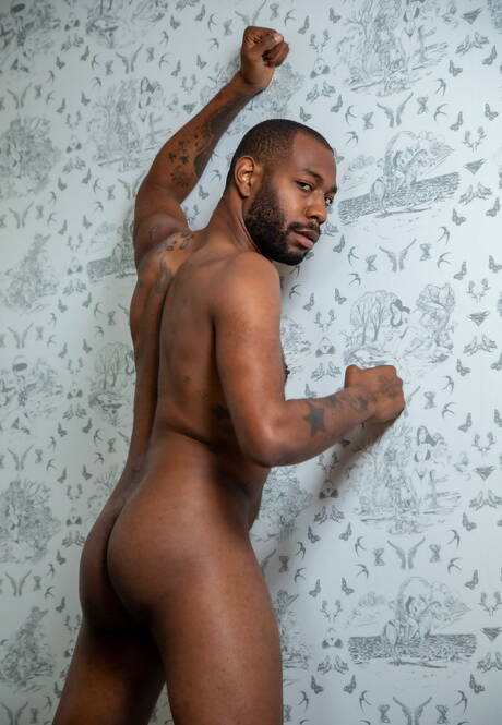 Nice american boys hairy stud Mason Lear and superstud August Alexander in hard interracial anal sex