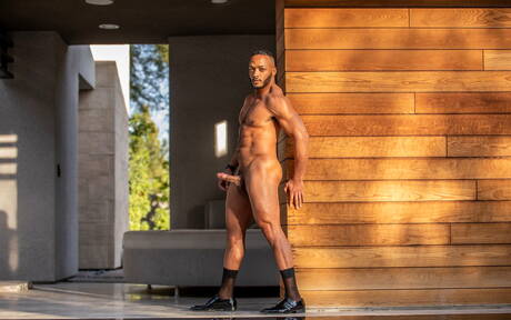 美國硬漢狄龍·迪亞茲和男同志熊瑞奇·拉金在泳池裡口交