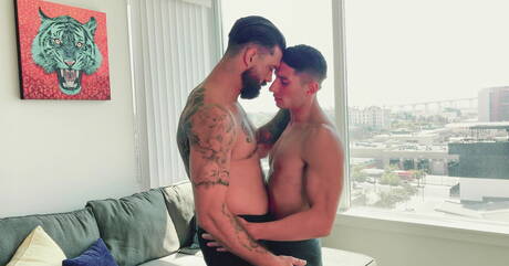 Aardige Amerikaanse jongens, stoere Jim Fit en hete beer Alpha Wolfe neuken kont na het zuigen
