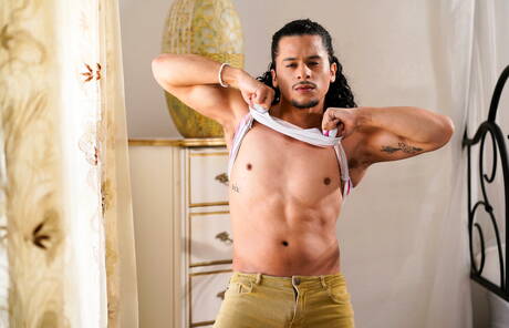 Hübsche amerikanische Jungs, Hengst Armond Rizzo und Otter Zario Travezz, beim heißen Analsex