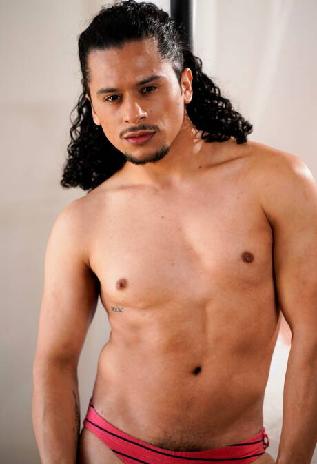 Hübsche amerikanische Jungs, Hengst Armond Rizzo und Otter Zario Travezz, beim heißen Analsex