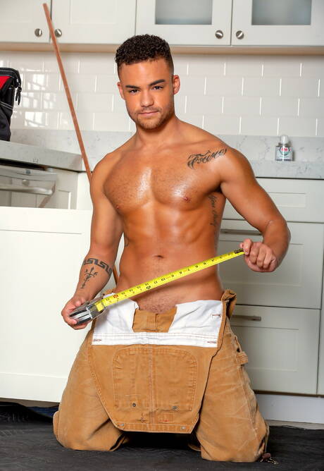 Der amerikanische Muskelprotz Beaux Banks und Dan Saxon haben sich in der Küche gevögelt