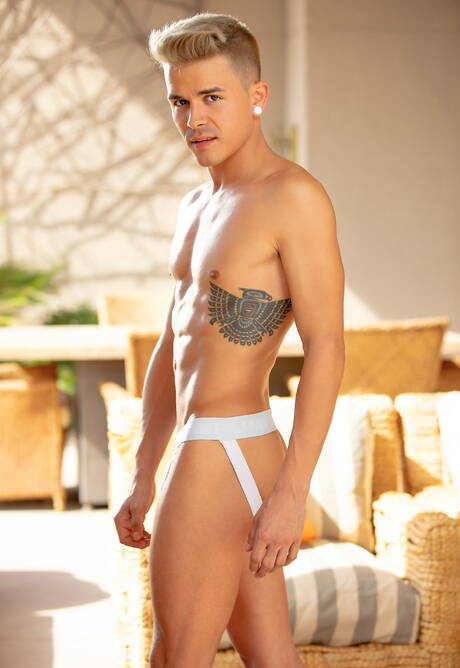 Die amerikanischen Pornostars Cade Maddox und Andy Taylor sind beide gutaussehend und haben einen heißen Arschfick