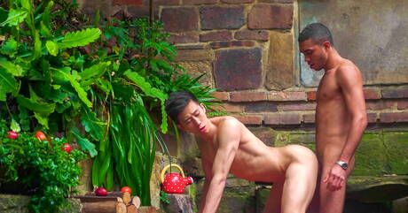 Il super stallone asiatico Tyler Wu e il duro Alex B in una scena omosessuale bollente all