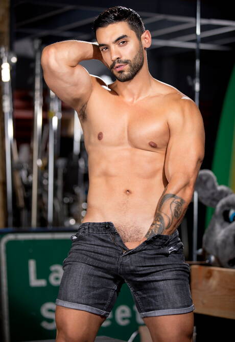 Der nette amerikanische Boy Arad Winwin und der schöne Junge Austin Avery bei einem heißen Arschfick