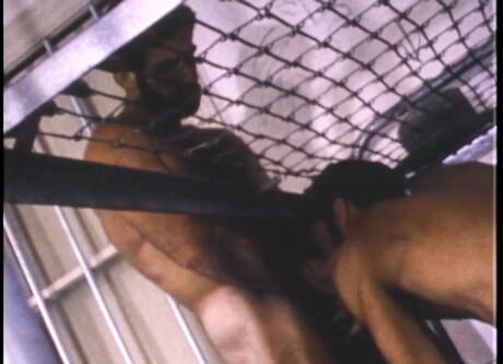 Amerykański przystojniak Al Parker i Will Seagers w ostrym seksie analnym na zewnątrz