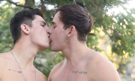 Deux garçons américains, le jeune Seth Peterson et le dur Josh Brady, ont une bonne relation sexuelle en extérieur