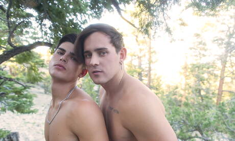 Deux garçons américains, le jeune Seth Peterson et le dur Josh Brady, ont une bonne relation sexuelle en extérieur