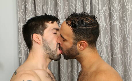 Lorenzo and american hairy stud Julian Brady in hot anal sex