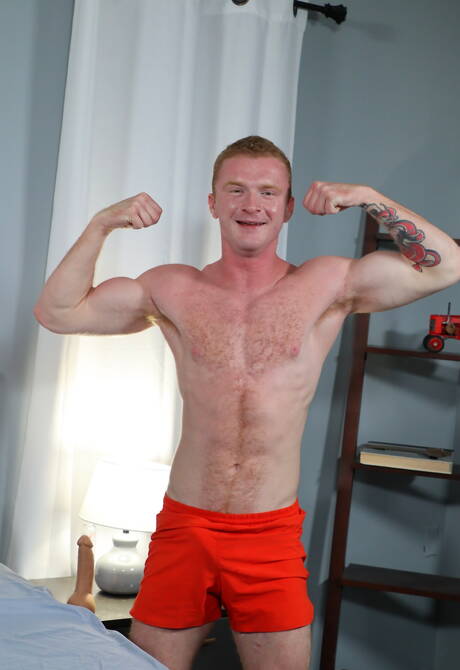 American otter Brody Fox play with toy