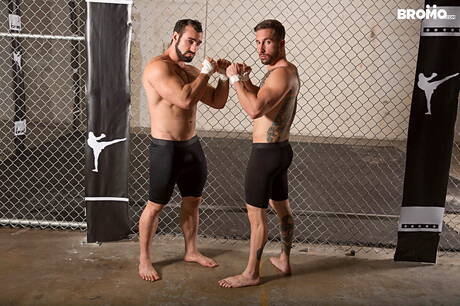 Dwóch amerykańskich facetów, gorący miś Jaxton Wheeler i kulturysta Brad Powers obciągają i ruchają się nawzajem