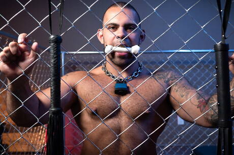 American pornstars hot bear Ricky Larkin and hairy bear Lorenzo Flexx make a love