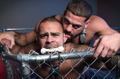 American pornstars hot bear Ricky Larkin and hairy bear Lorenzo Flexx make a love