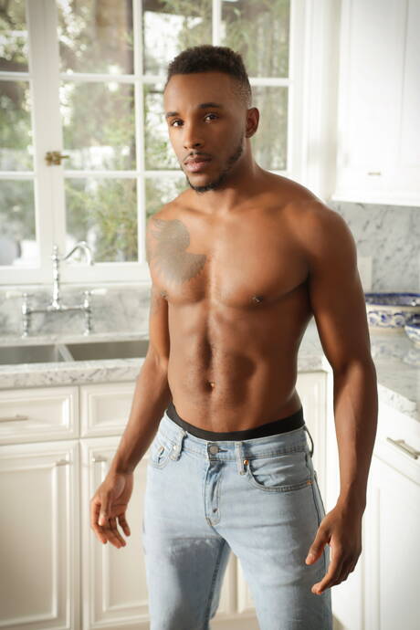 Il duro americano Darin Silvers e Phoenix Fellington fanno un bel sesso anale interrazziale in cucina