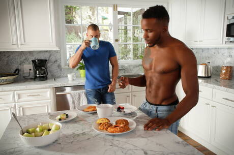 Il duro americano Darin Silvers e Phoenix Fellington fanno un bel sesso anale interrazziale in cucina