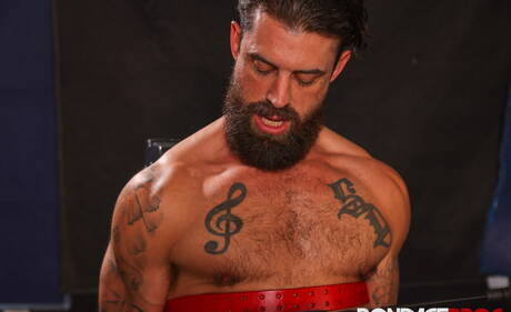 Le pornostar americane Alpha Wolfe, l