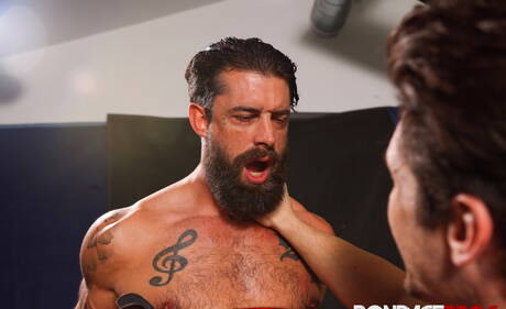 Amerikaanse pornosterren, harige beer Alpha Wolfe en gespierde Devin Franco neuken kont na het zuigen van een pik