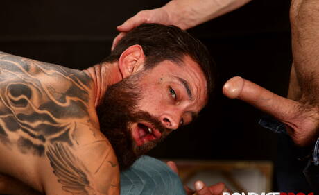 Amerikaanse pornosterren, harige beer Alpha Wolfe en gespierde Devin Franco neuken kont na het zuigen van een pik