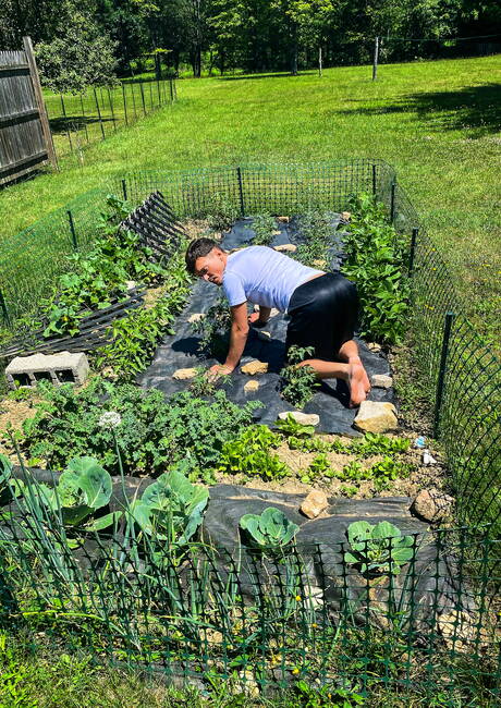 Husky guy Bruno Cartella and muscular Ty Shine have a hot interracial sex outdoor