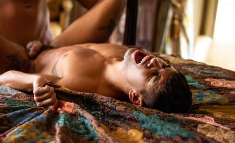 American stars hunk Jj Knight and otter Ty Mitchell in hot anal sex