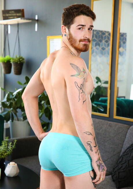 かなりアメリカ人の男のスタッドポールキャノンとトゥインクニックミラニの熱いアナルセックス