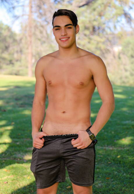 Dobrze zbudowany Amerykanin David Skylar i ogier Sebastian Sky w gorącym seksie analnym na świeżym powietrzu