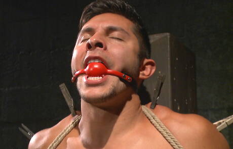 American strong bull Seth Santoro bondaged