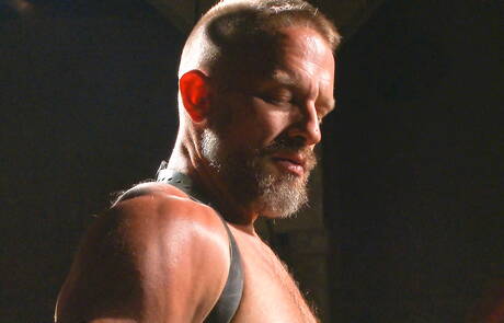 Il manzo americano Dirk Caber è legato a doppio filo