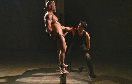 Il manzo americano Dirk Caber è legato a doppio filo