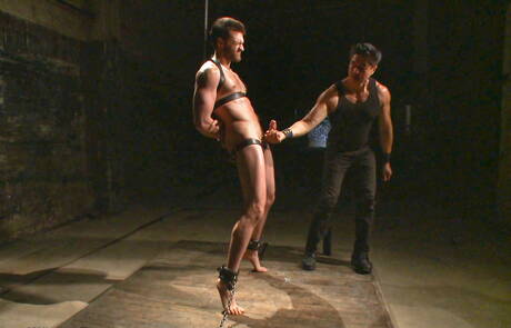 Der haarige amerikanische Hengst Abel Archer liebt Bondage