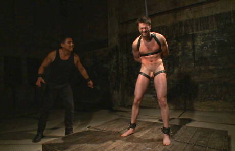 American hairy stud Abel Archer loves bondage