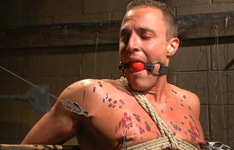 American bull Jacob Durham likes to be tied