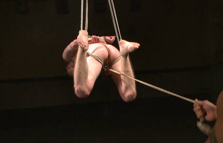 O bem constituído Branden Forrest adora bondage