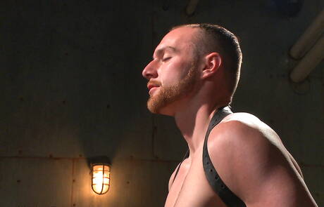 Stud Jimmy Bullet hard vastgebonden